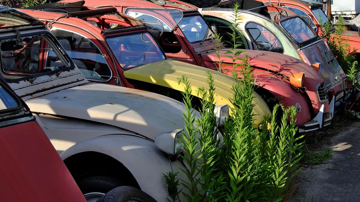 Carcasses de voitures alignées dans une casse automobile